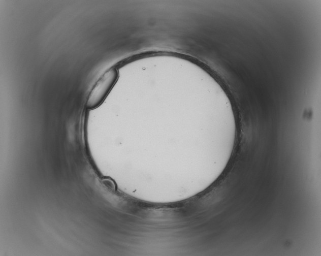 X0000111841272200909031654