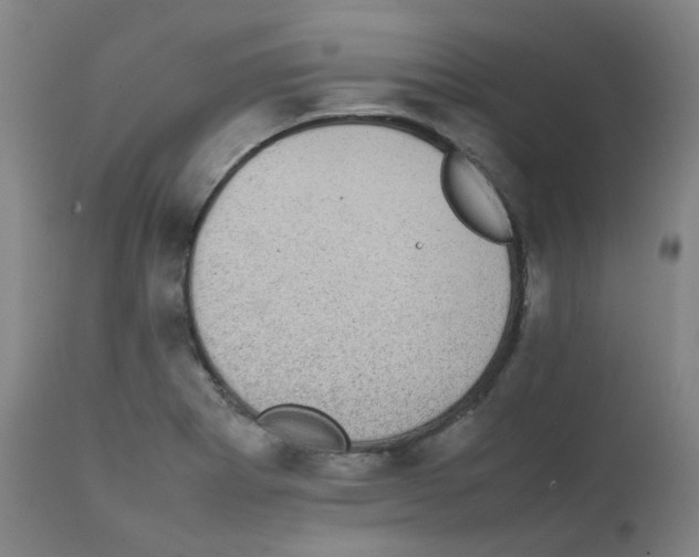 X0000111841273200909031654