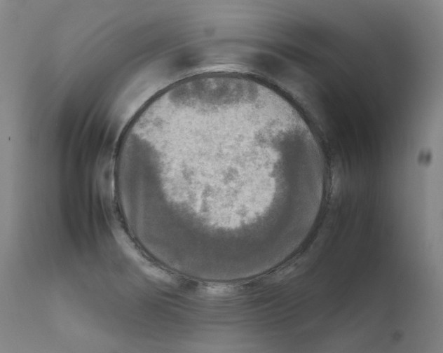 X0000111841274200909031654