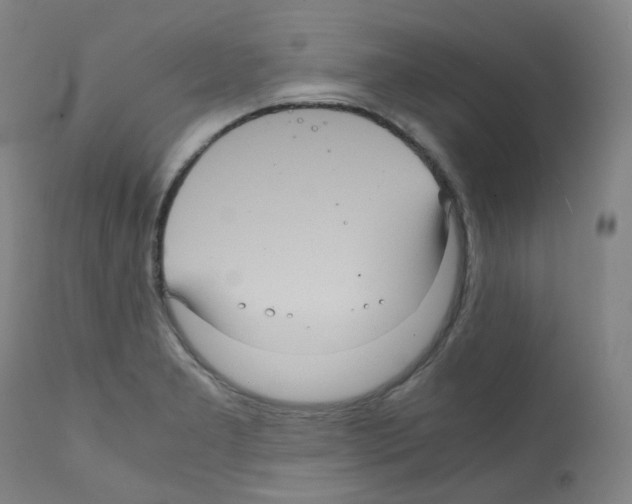 X0000111841277200909031654