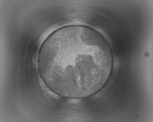 X0000111841278200909031654