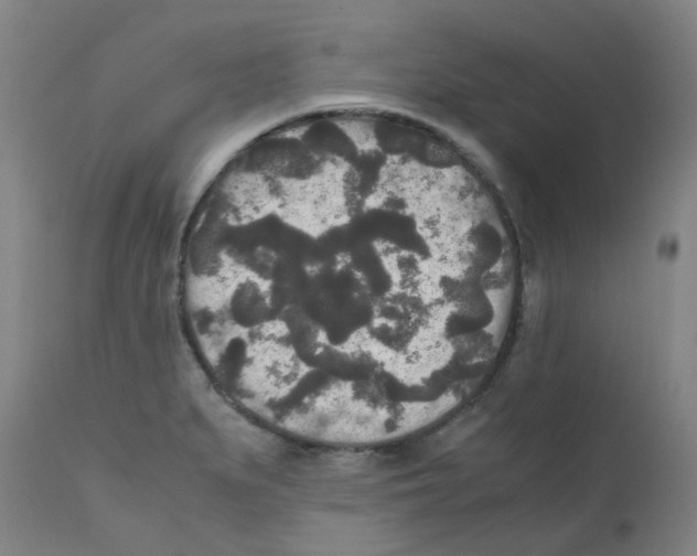 X0000111841279200909031654