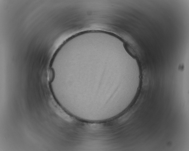 X0000111841280200909031654