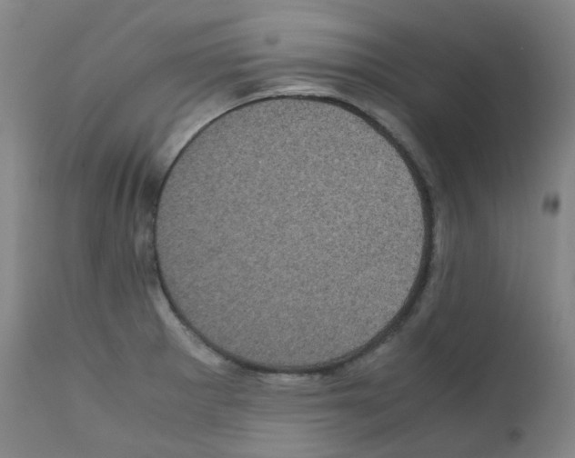 X0000111841281200909031654