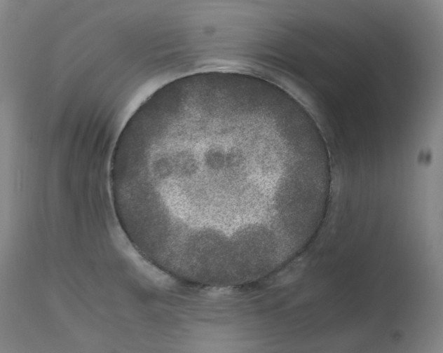 X0000111841283200909031654