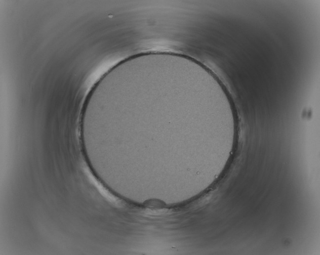 X0000111841285200909031654