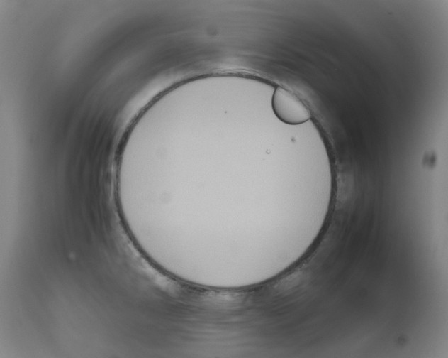 X0000111841286200909031654