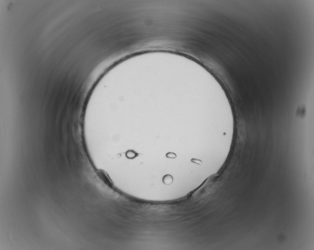 X0000111841288200909031654