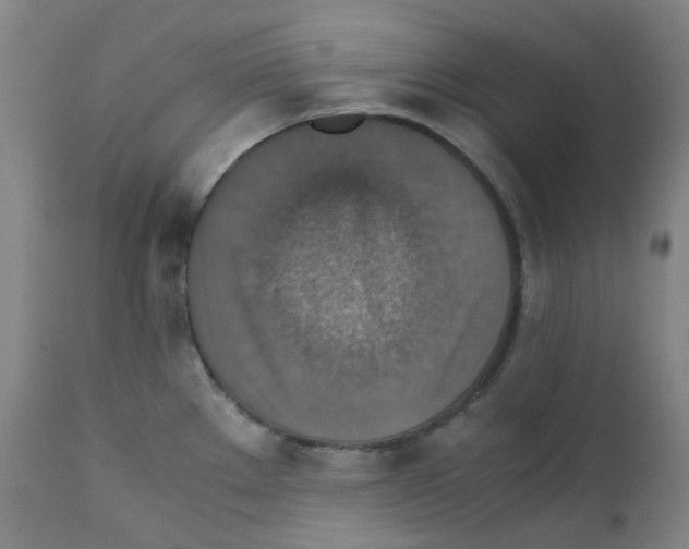 X0000111841289200909031654