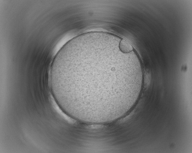 X0000111841290200909031654