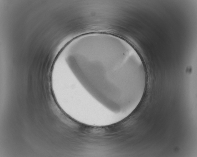 X0000111841291200909031654