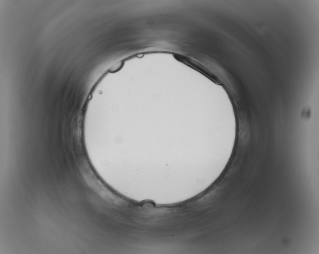 X0000111841292200909031654