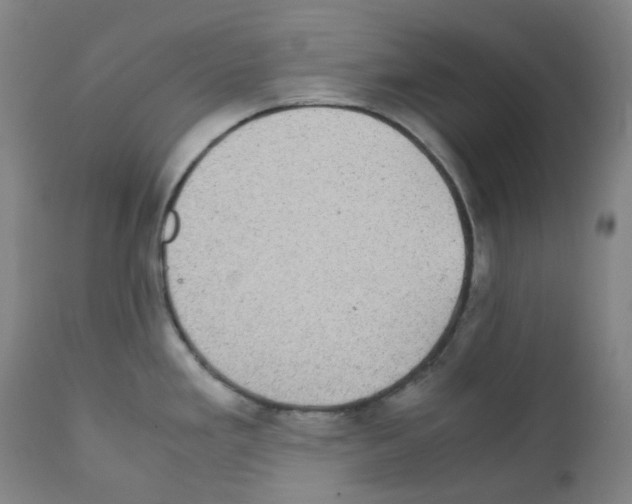 X0000111841293200909031654