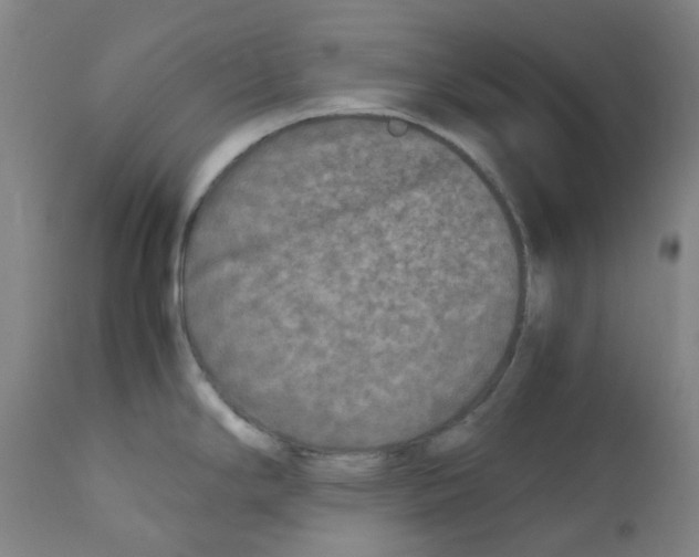 X0000111841294200909031654