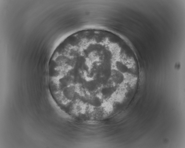 X0000111841295200909031654