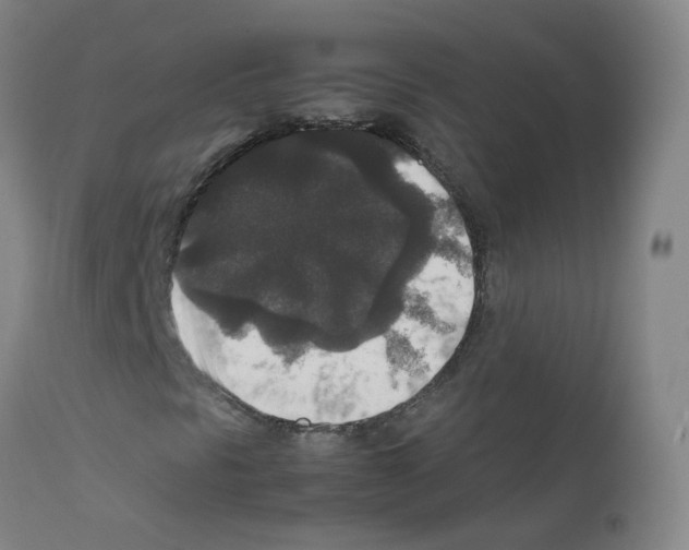 X0000111841297200909031653