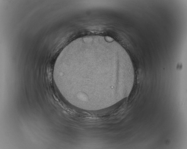 X0000111841298200909031653