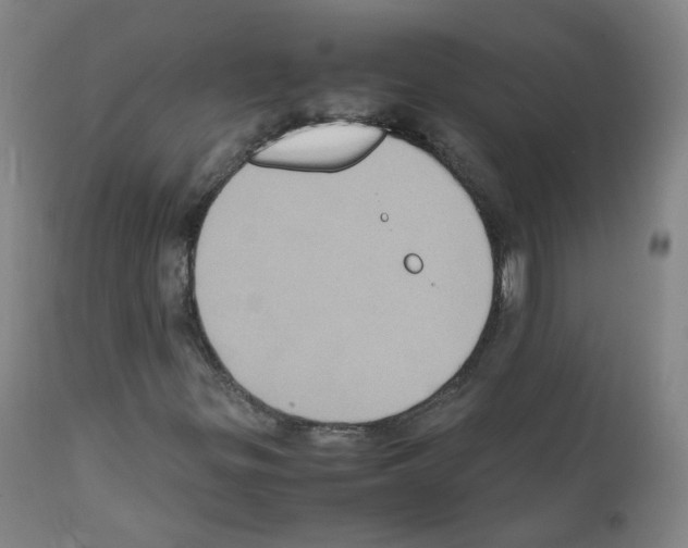 X0000111841299200909031653