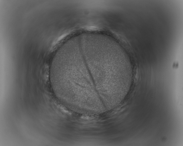 X0000111841301200909031653