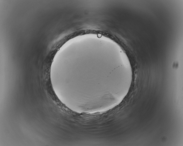 X0000111841303200909031653