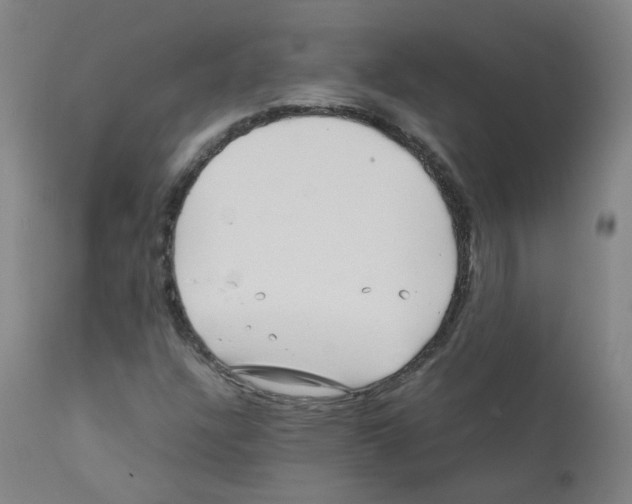 X0000111841304200909031653