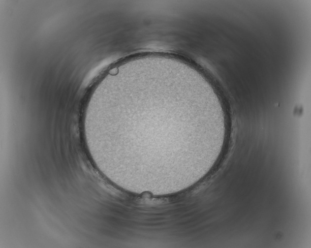 X0000111841307200909031653