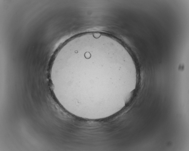 X0000111841308200909031653