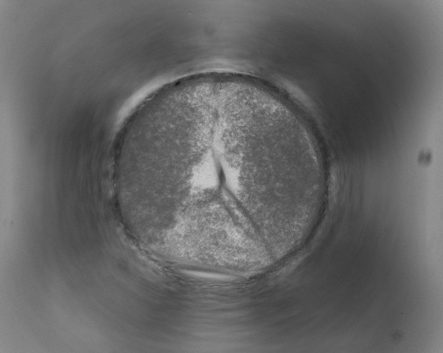 X0000111841310200909031653