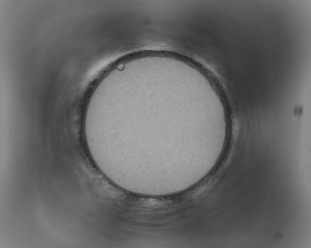 X0000111841311200909031653