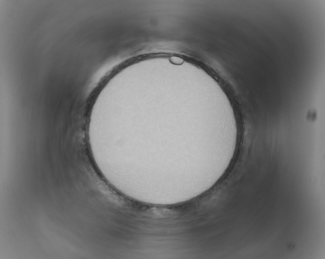 X0000111841312200909031653