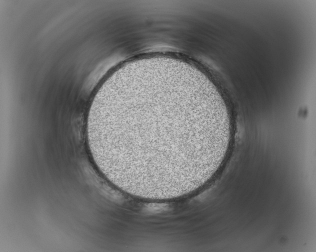 X0000111841313200909031653