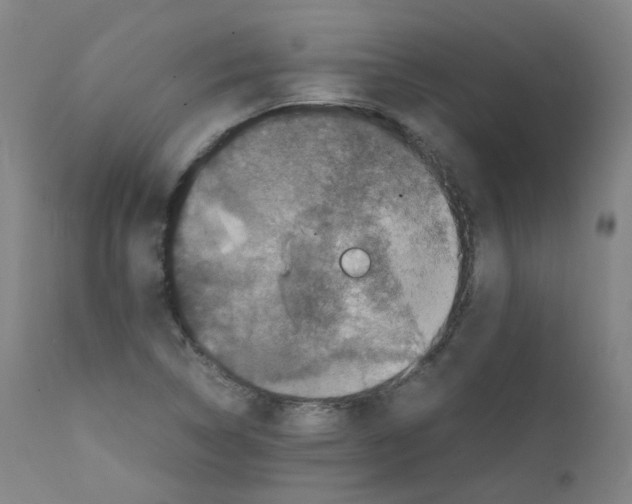 X0000111841314200909031653