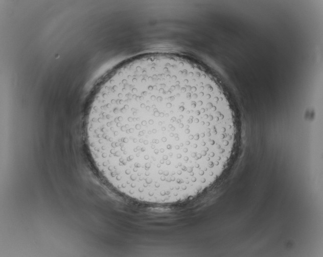 X0000111841315200909031653