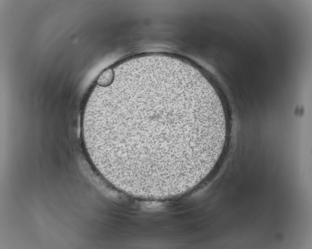 X0000111841317200909031654