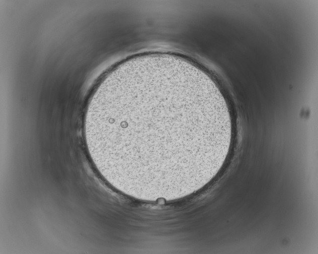 X0000111841318200909031654