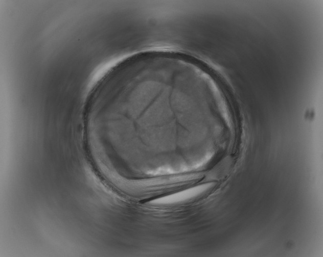 X0000111841319200909031654