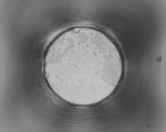 X0000111841320200909031654