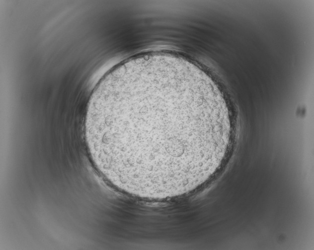 X0000111841321200909031654