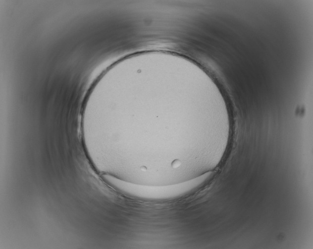 X0000111841324200909031654