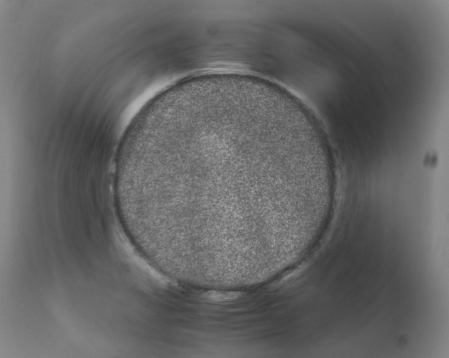 X0000111841325200909031654