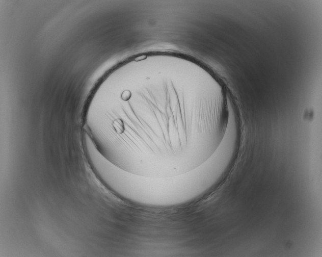 X0000111841326200909031654