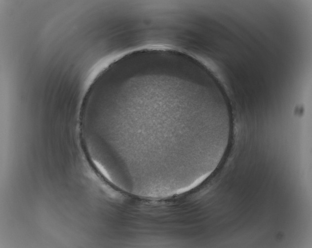 X0000111841327200909031654