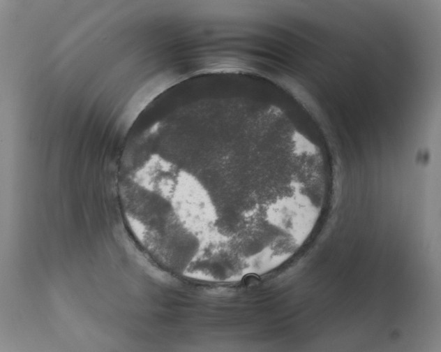 X0000111841329200909031654