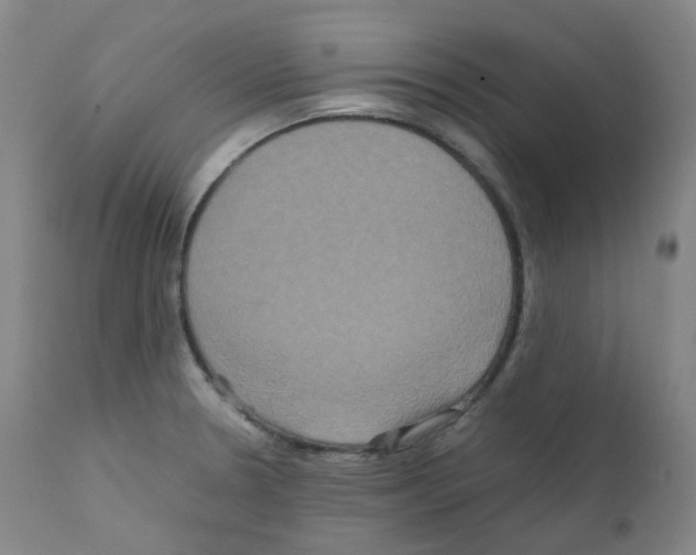 X0000111841330200909031654