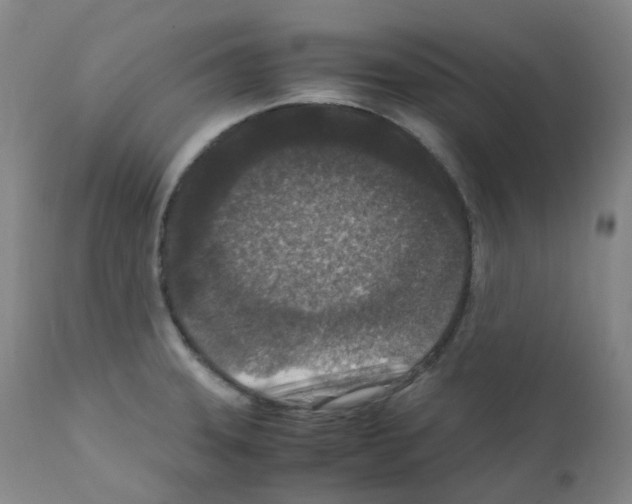 X0000111841331200909031654