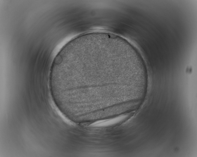 X0000111841333200909031654