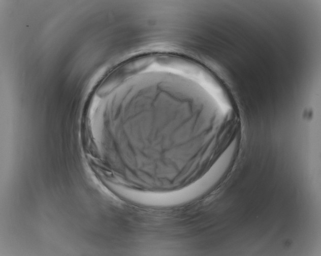 X0000111841334200909031654