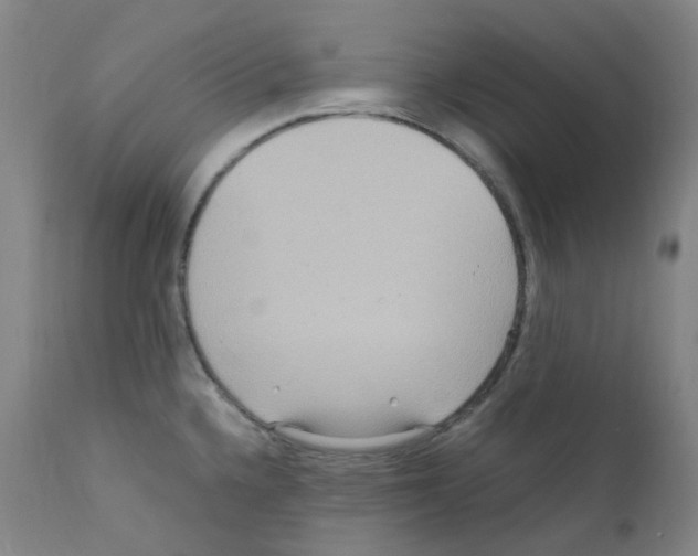 X0000111841336200909031654