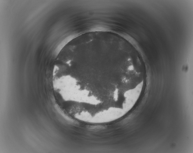 X0000111841337200909031654