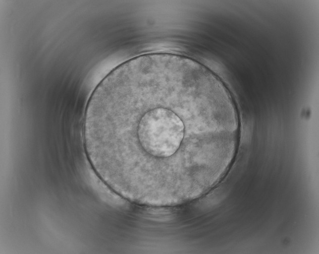 X0000111841338200909031654